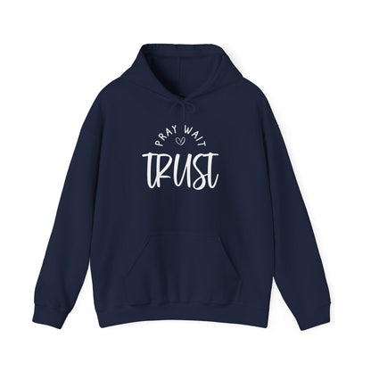 PRAY WAIT TRUST - MEDIUM-HEAVY WEIGHT HOODIE