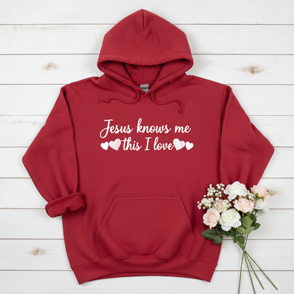 JESUS KNOWS ME THIS I LOVE - MEDIUM-HEAVY WEIGHT HOODIE