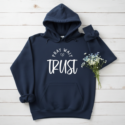 PRAY WAIT TRUST - MEDIUM-HEAVY WEIGHT HOODIE