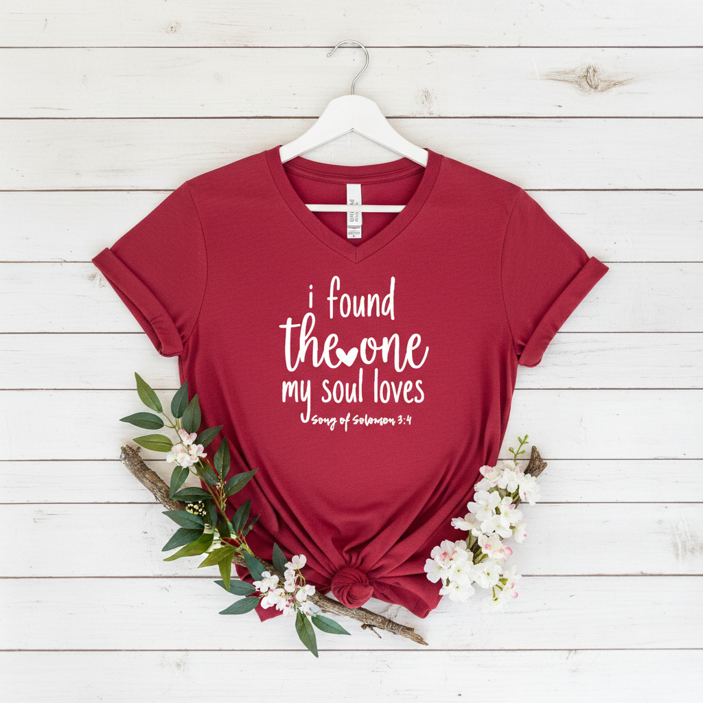 I FOUND THE ONE MY SOUL LOVES - V-NECK PREMIUM T-SHIRT