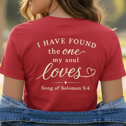 I HAVE FOUND THE ONE - V-NECK PREMIUM T-SHIRT