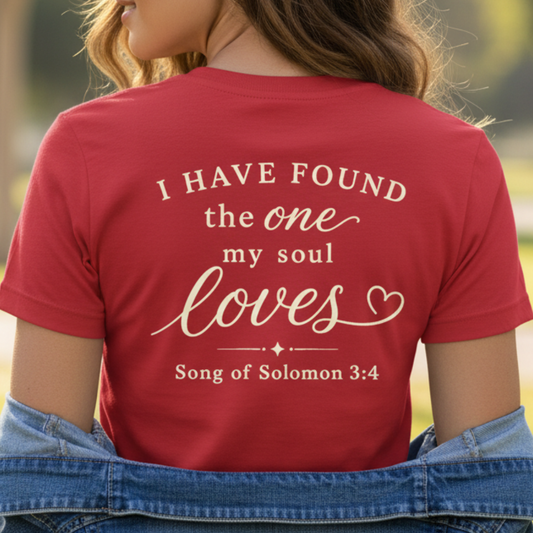 I HAVE FOUND THE ONE - V-NECK PREMIUM T-SHIRT