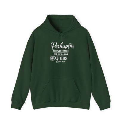 PERHAPS YOU WERE MADE - MEDIUM-HEAVY WEIGHT HOODIE