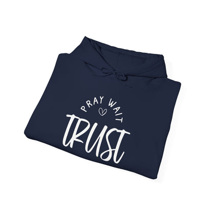 PRAY WAIT TRUST - MEDIUM-HEAVY WEIGHT HOODIE