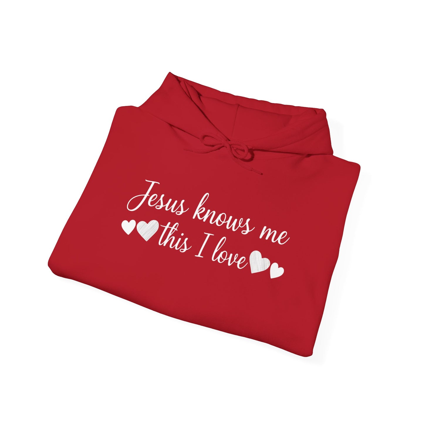 JESUS KNOWS ME THIS I LOVE - MEDIUM-HEAVY WEIGHT HOODIE