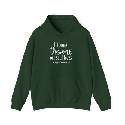 I FOUND THE ONE MY SOUL LOVES - MEDIUM-HEAVY WEIGHT HOODIE