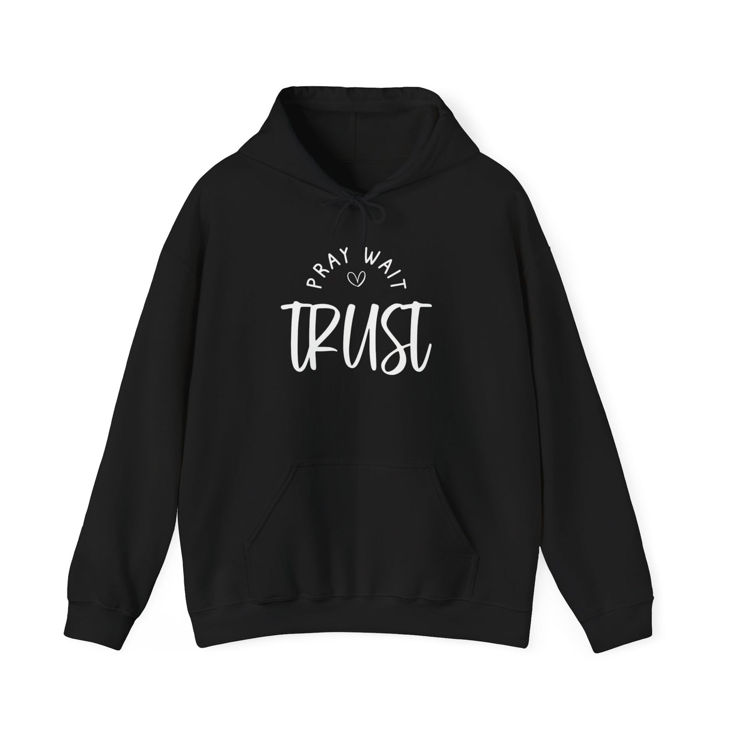 PRAY WAIT TRUST - MEDIUM-HEAVY WEIGHT HOODIE